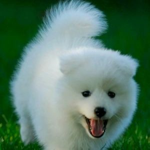 Meet your Posher, Teresa